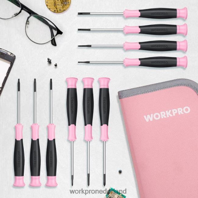 hulpmiddel WORKPRO 10-delige precisieschroevendraaierset met etui, kruiskop, gleuf, torx ster, magnetische punt kleine schroevendraaier reparatieset roze 4NVZH8255