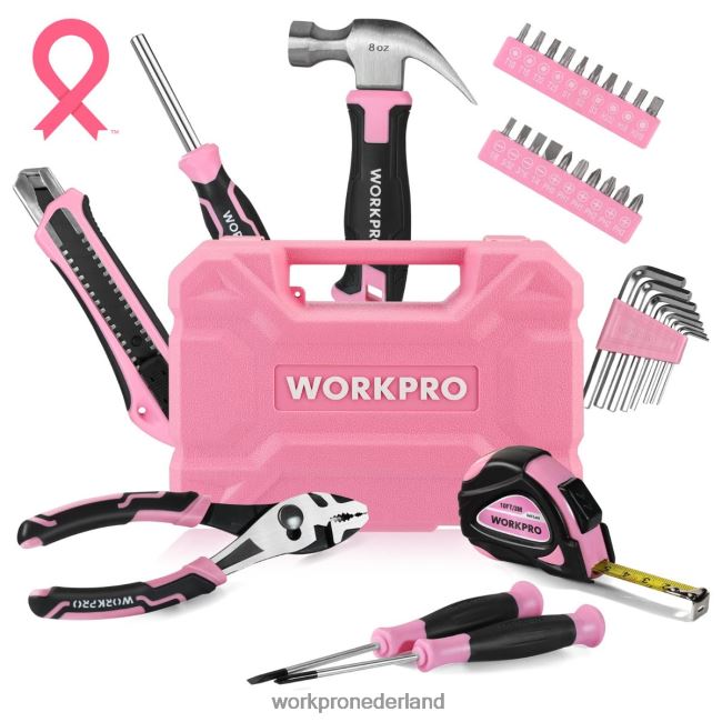 hulpmiddel WORKPRO 35-delige huishoudgereedschapset met opbergdoos roze blauw 4NVZH8246
