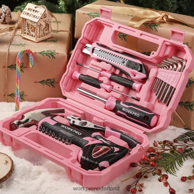 hulpmiddel WORKPRO 35-delige huishoudgereedschapset met opbergdoos roze blauw 4NVZH8246