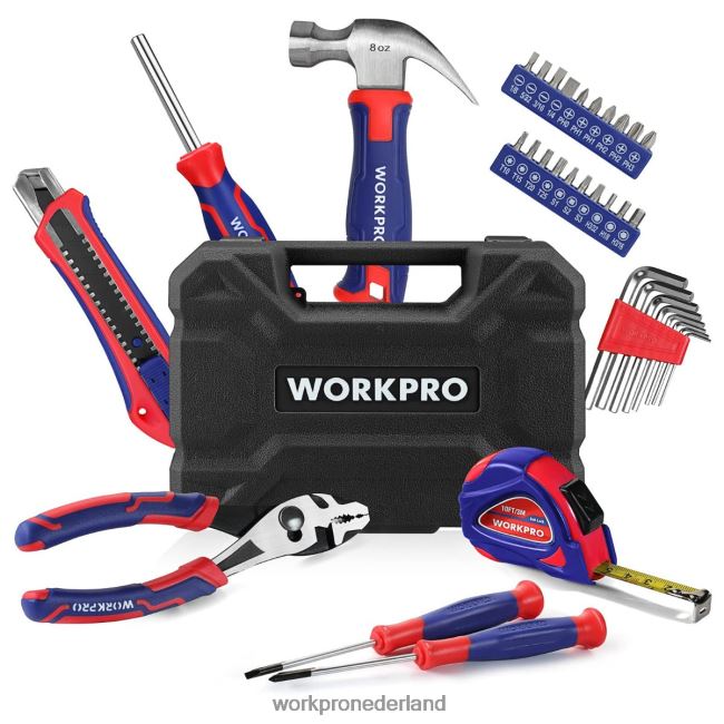 hulpmiddel WORKPRO 35-delige huishoudgereedschapset met opbergdoos roze blauw 4NVZH8246