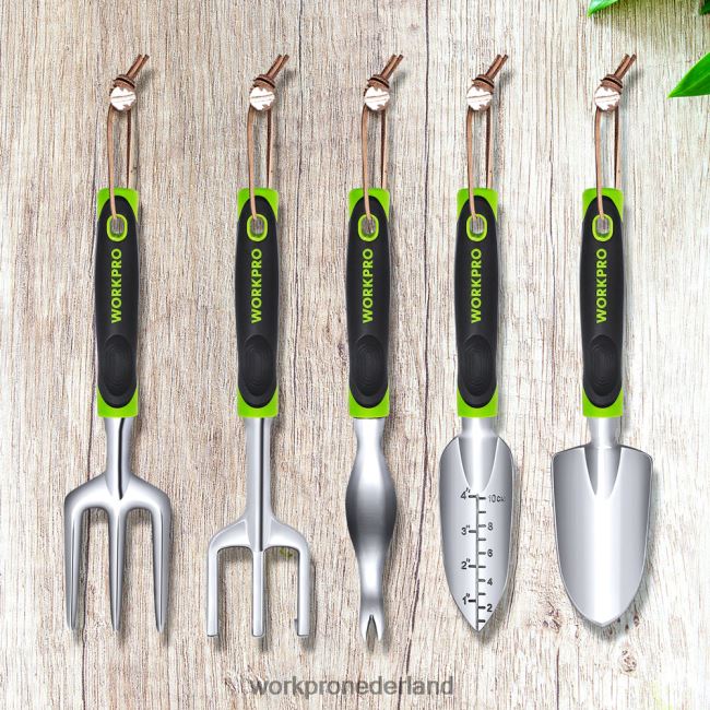 hulpmiddel WORKPRO 5-delige tuingereedschapset voor buiten, tuinwerkgeschenken morden 4NVZH8276