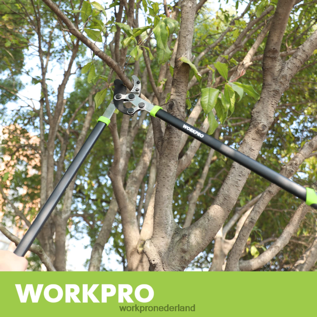 hulpmiddel WORKPRO aambeeldschaar, 32 inch takkensnijder met samengestelde werking, robuuste tuinboomtrimmer morden 4NVZH8282