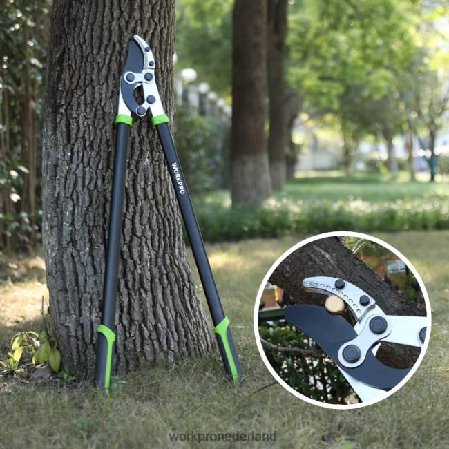 hulpmiddel WORKPRO aambeeldschaar, 32 inch takkensnijder met samengestelde werking, robuuste tuinboomtrimmer morden 4NVZH8282