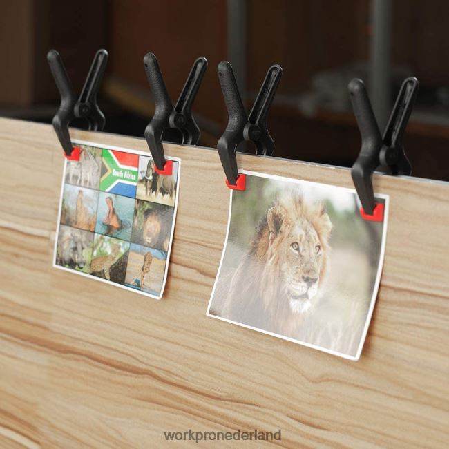 hulpmiddel WORKPRO 16-delige nylon veerklemset voor houtbewerking, fotografiestudio's en doe-het-zelfwerkzaamheden morden 4NVZH8125