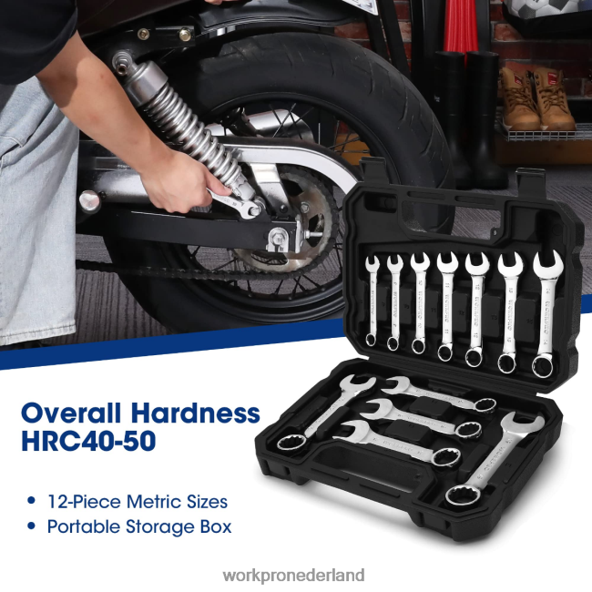 hulpmiddel WORKPRO 12-delige stompe ringsteeksleutelset behulpzaam 4NVZH897