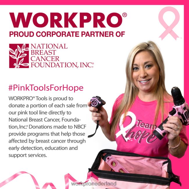 hulpmiddel WORKPRO 6-delige minitangenset met etui roze 4NVZH865